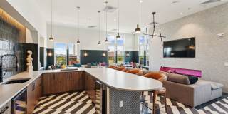 The Navigator The Navigator Gallery 15