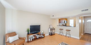 Emerald Gardens Gallery 38