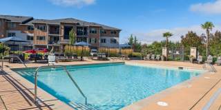 Vue Issaquah Gallery 2