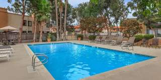 Sun Valley Gardens Apartments | Comfortable Living in El Cajon, CA Gallery 8