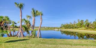 1131 Fins Up Court Gallery 31