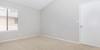 Mountain Springs Gallery 20