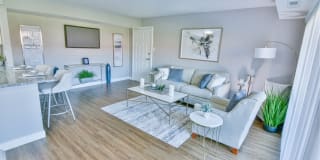 Verona at District Gallery 7