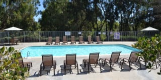 Reidy Creek Apartments Gallery 3