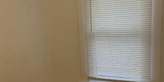 286 Delaware Avenue Gallery 19