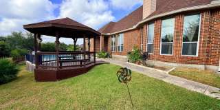 234 Gazelle Leap Gallery 28