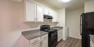 Sentinel of Conway Gallery 1