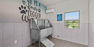 Grand at Cibolo Gallery 19