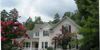 72 Brown Bear Gallery 1