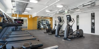 Revolution at Assembly Row Gallery 17