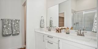 Canvas at Anna Gallery 13