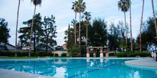 8506 Blue Heron Dr Gallery 31