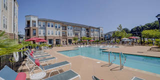 Holly Crest Gallery 39