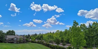 Lake Forest Gallery 33