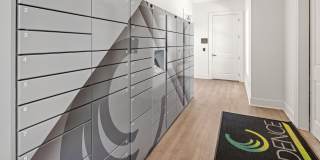 Cadence at Cates Creek Gallery 10