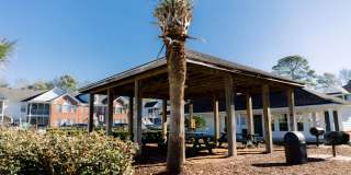 4426 Gold Flower Loop - 3D2 Gallery 13