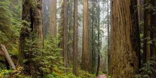 Summit at Sausalito Apartments Gallery 24