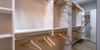 The Monarch Gallery 19