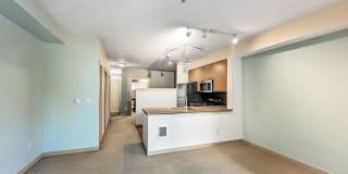 Spacious Condo in Prime Location of Capitol Hill Gallery 7