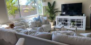 Los Arboles Apartments Gallery 8