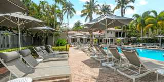 Coconut Palm Club Gallery 12