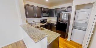 Crystal Cove Gallery 2