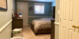 Charming 2 Bedroom/1.5 Bathroom Townhome in Federal Hill w/ Rooftop Deck! Gallery 13