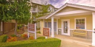 Valley Springs Gallery 3