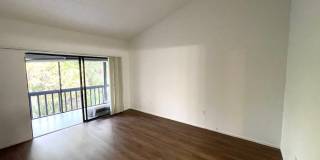 Spacious 2Bed/2Bath Condo for Rent!! Sarasota Gallery 11