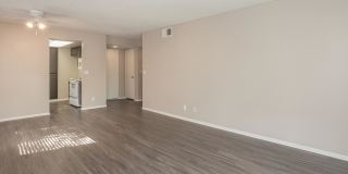 Mountain Springs Gallery 44