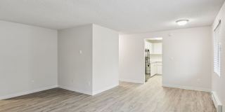 James Apartments Gallery 12