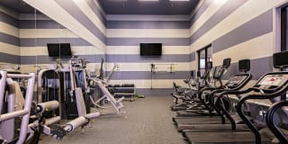 Halston Gallery 6