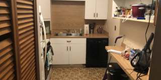 17 symphony Gallery 10