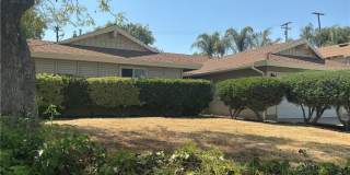 6585 Shannon Gallery 2