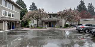 Prime Bellevue Location | 2 Bed Condo + Garage + Pool Gallery 1