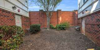 923 Gracie Way Gallery 34