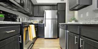 Maynard of Augusta Gallery 6