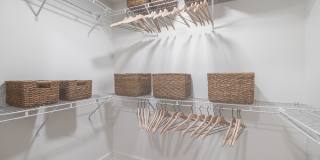 LC Line & Low Gallery 15