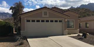 11328 N FLAT GRANITE Drive 11328 N FLAT GRANITE Drive Gallery 1