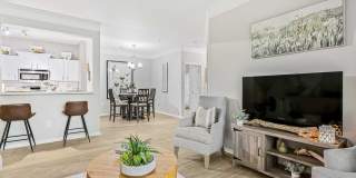 Retreat at John's Creek Gallery 17