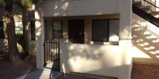 Observation Dr 1204 Gallery 1