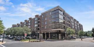 22 AVENUE AT PORT IMPERIAL Gallery 1