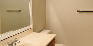AV Gallery 23