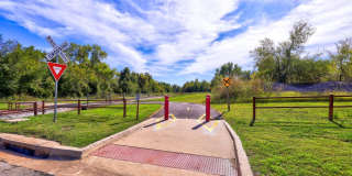 3 Bed 2 Bath close to OU Med Center Gallery 44