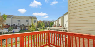 11497 SCOTCH HILLS Place Gallery 19
