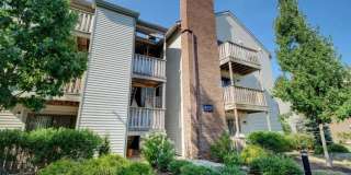 1513 Ravens Crest Drive Gallery 1