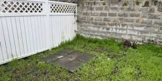 Great updated 3 Bedroom Row home in Manayunk for rent $2,200/month Gallery 22