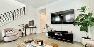 2693 paragon Loop Gallery 3