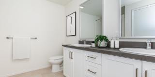 Vineyards Gallery 171