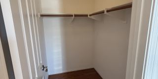 13512 Scarlet Sage Trail Gallery 33